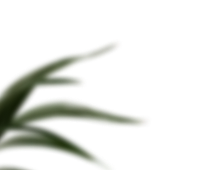 thanks-branch